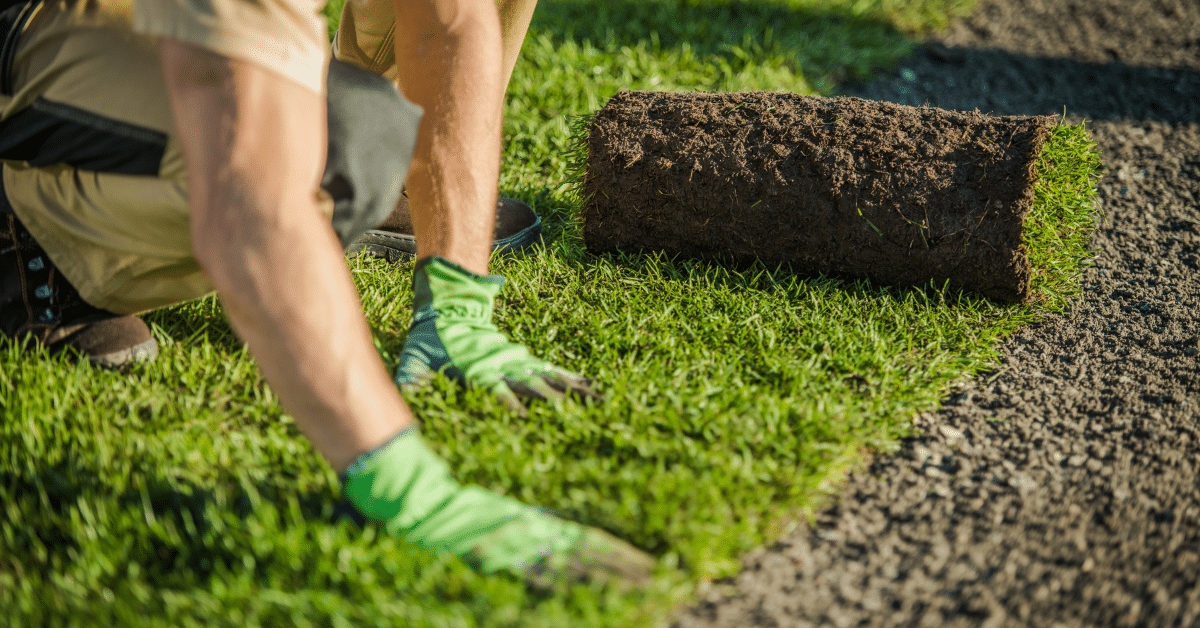 Lawn Care and Landscaping